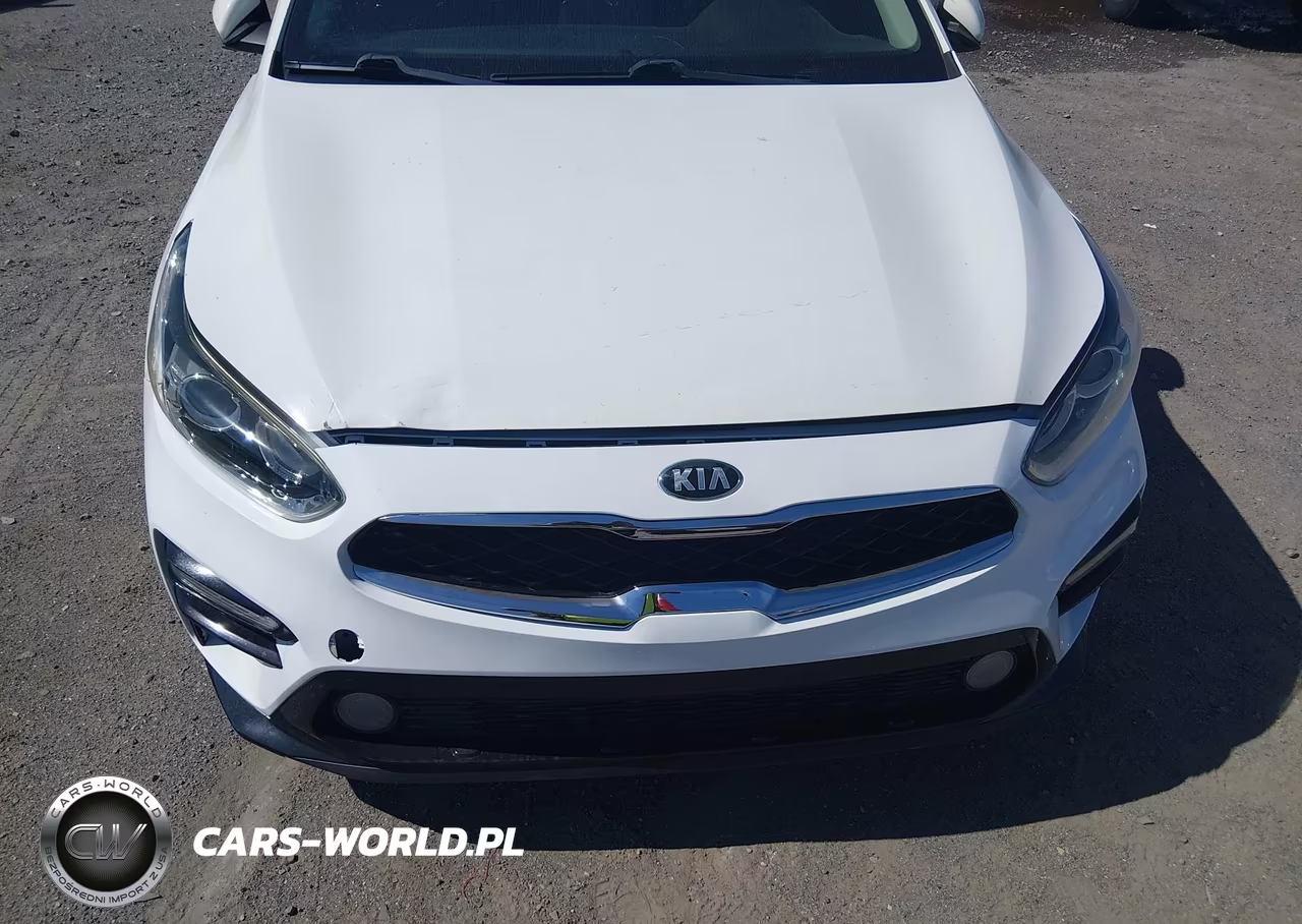 2019 Kia Forte Lxs VIN:3KPF24AD0KE013418 - 6