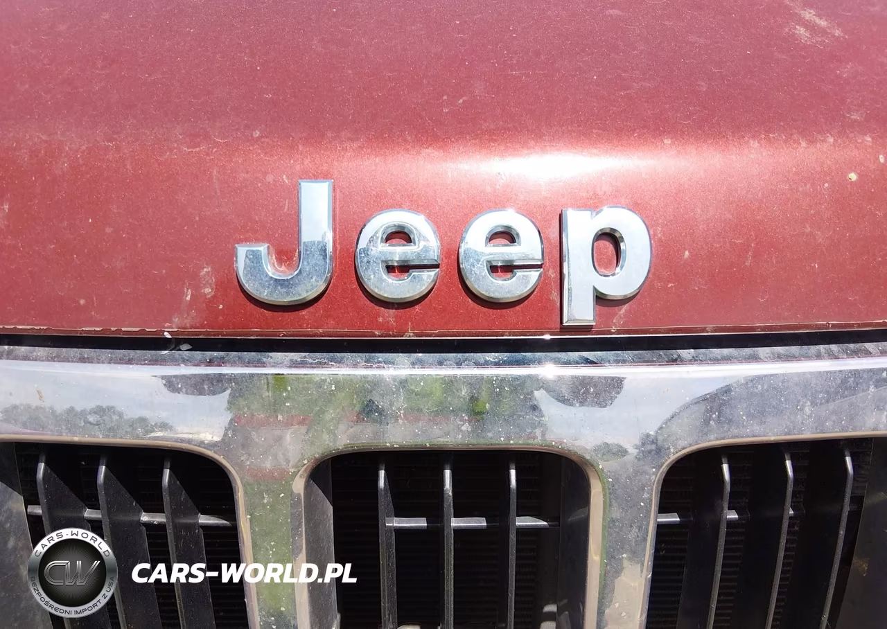 2009 Jeep Grand Cherokee Limited VIN:1J8HR58T39C520413 - 13