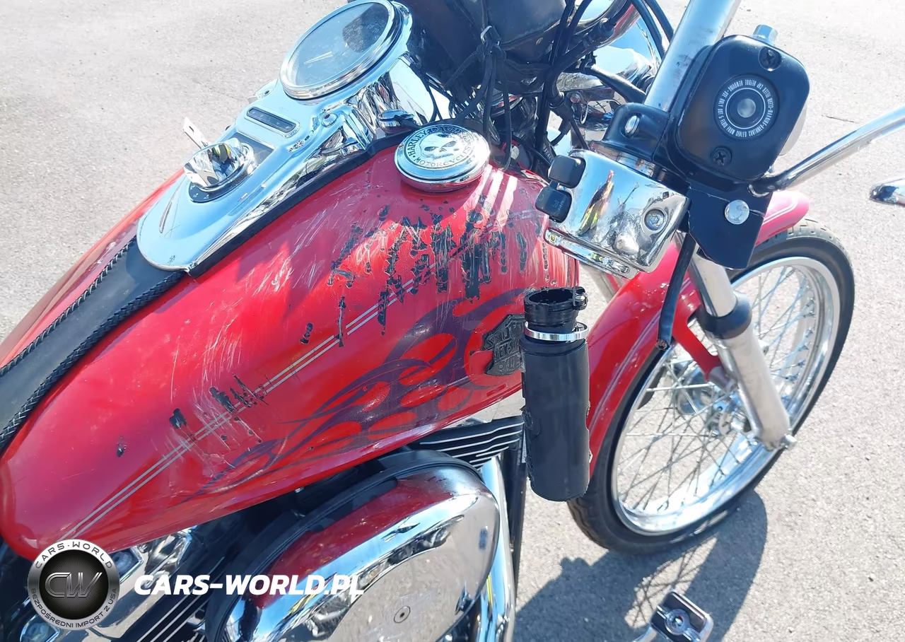 2004 Harley-Davidson Fxdwgi VIN:1HD1GPW184K321463 - 12