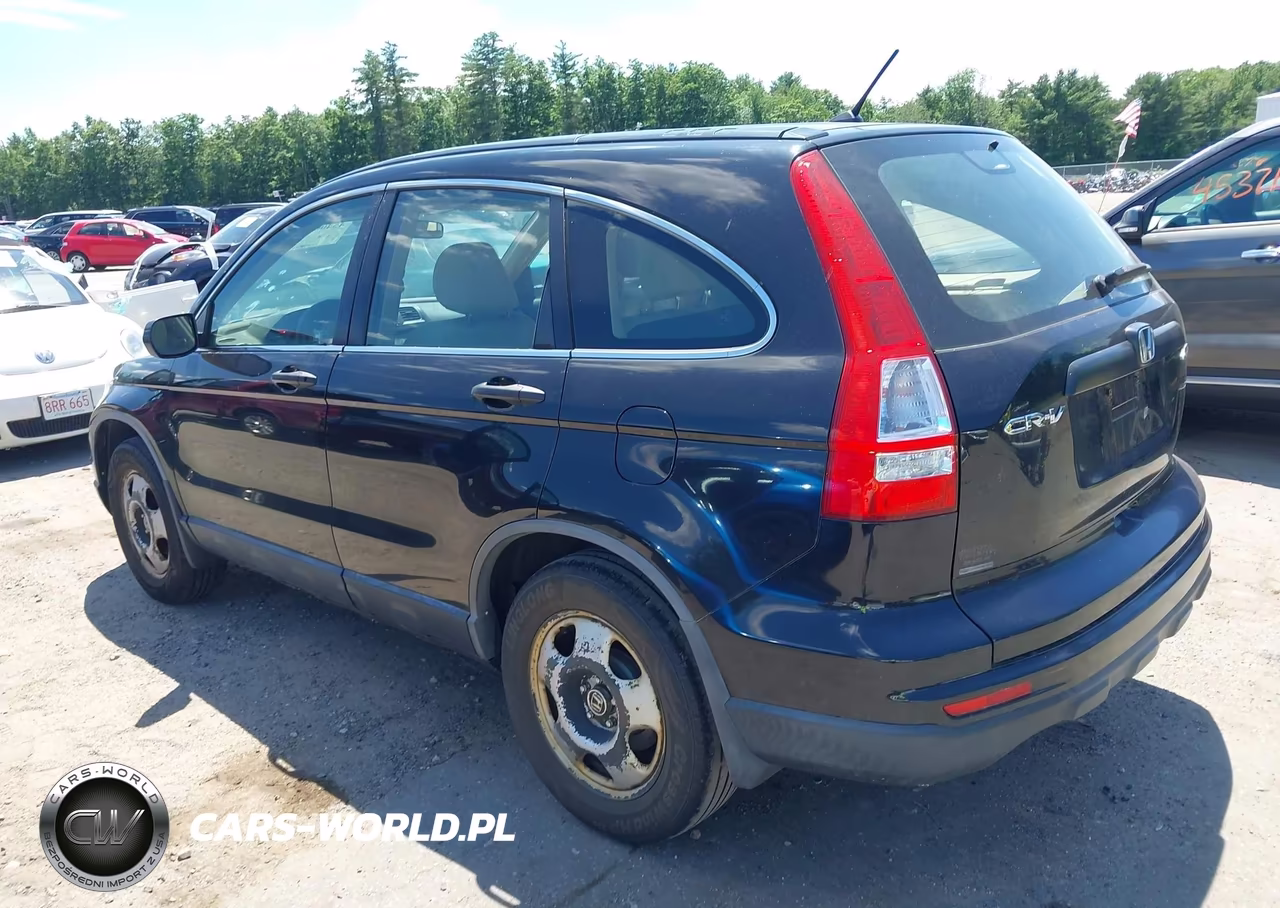 2010 Honda Cr-V Lx VIN:JHLRE4H34AC003372 - 3