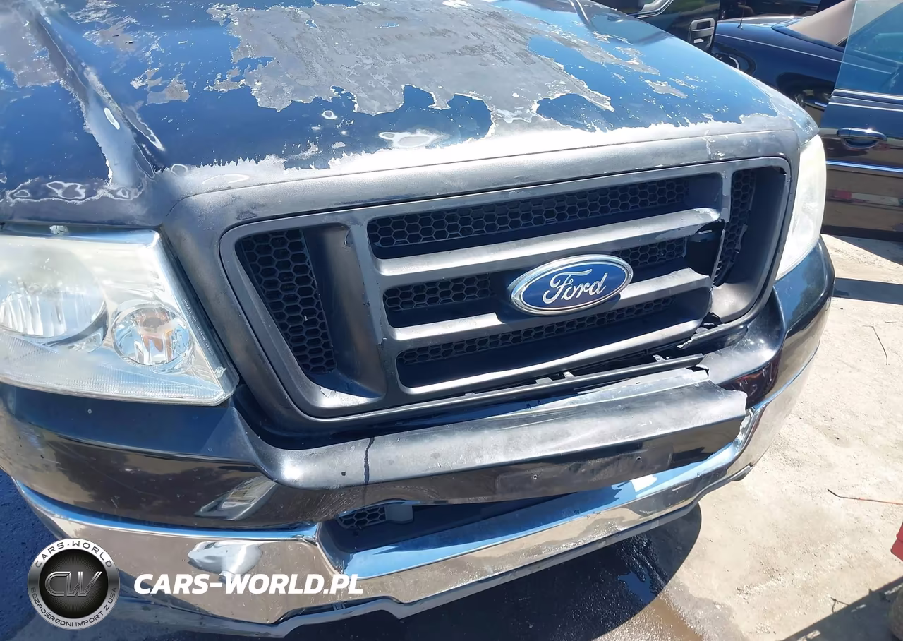 2004 Ford F-150 Stx-Xl-Xlt VIN:1FTRF12W44NA28597 - 18
