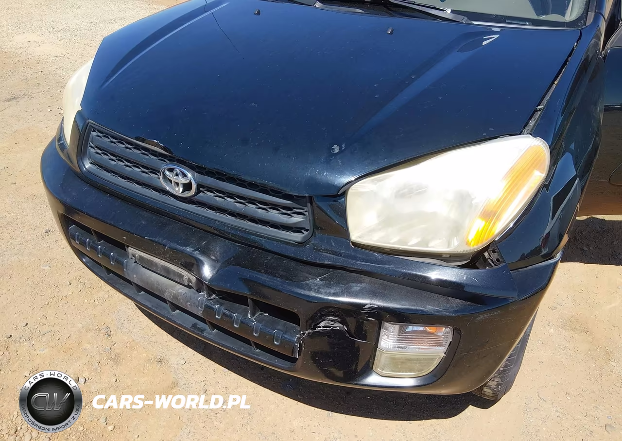 2002 Toyota Rav4 VIN:JTEGH20V320041896 - 6