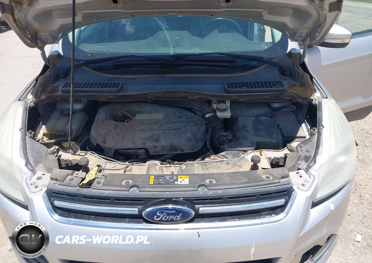 2013 Ford Escape Sel VIN:1FMCU0HX7DUA70267 - 10