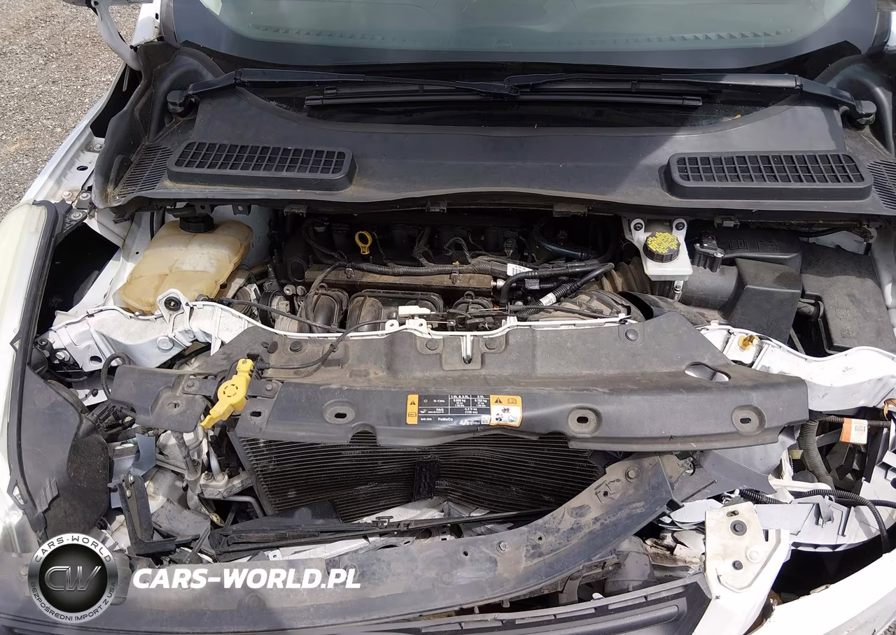 2016 Ford Escape S VIN:1FMCU0F73GUC05011 - 10