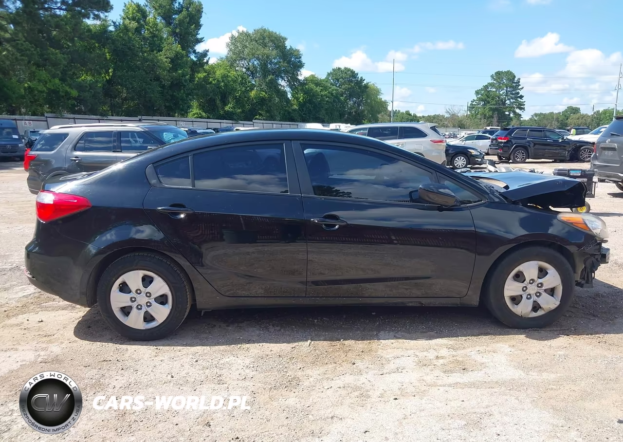 2015 Kia Forte Lx VIN:KNAFK4A65F5428900 - 13