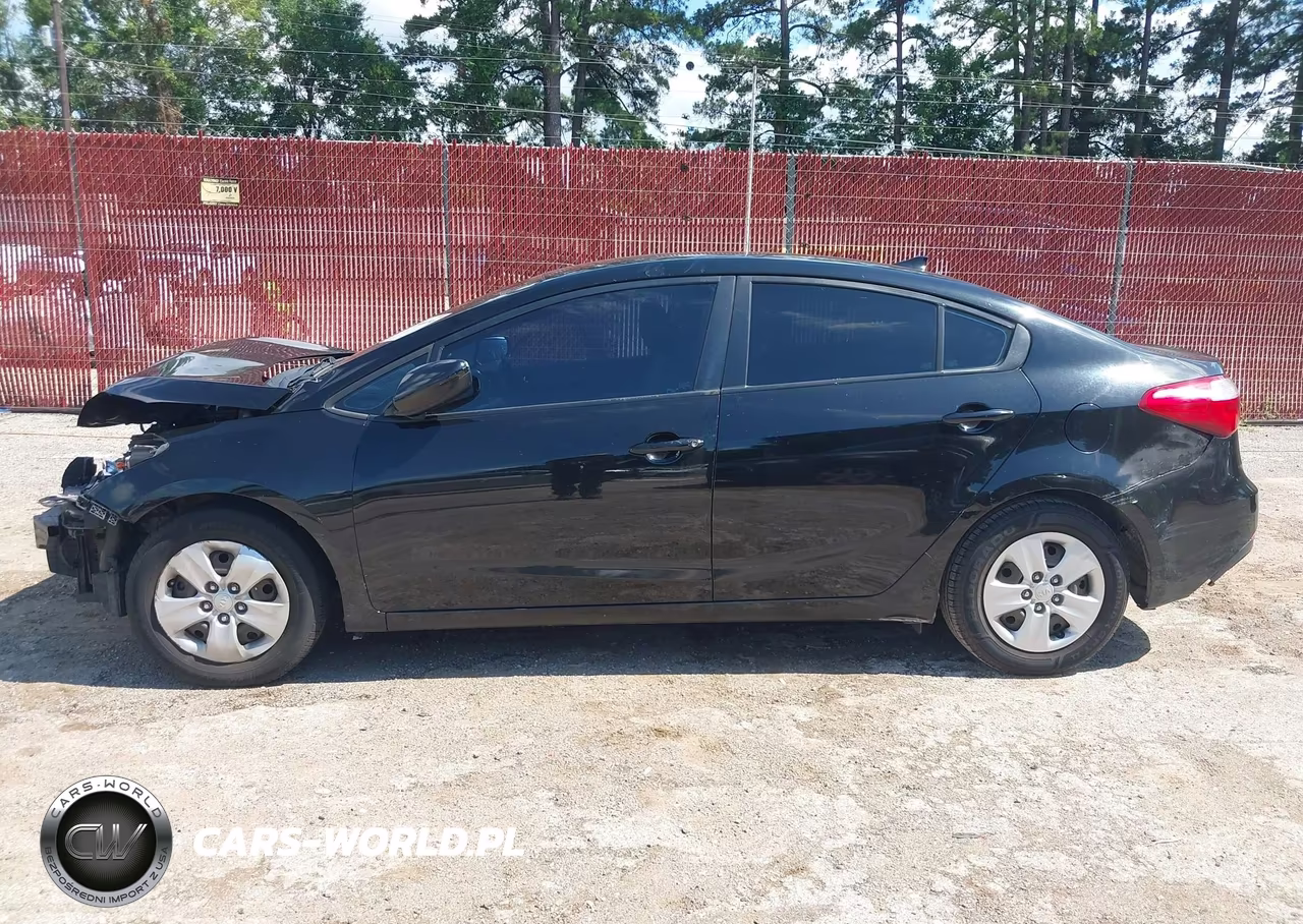 2015 Kia Forte Lx VIN:KNAFK4A65F5428900 - 14