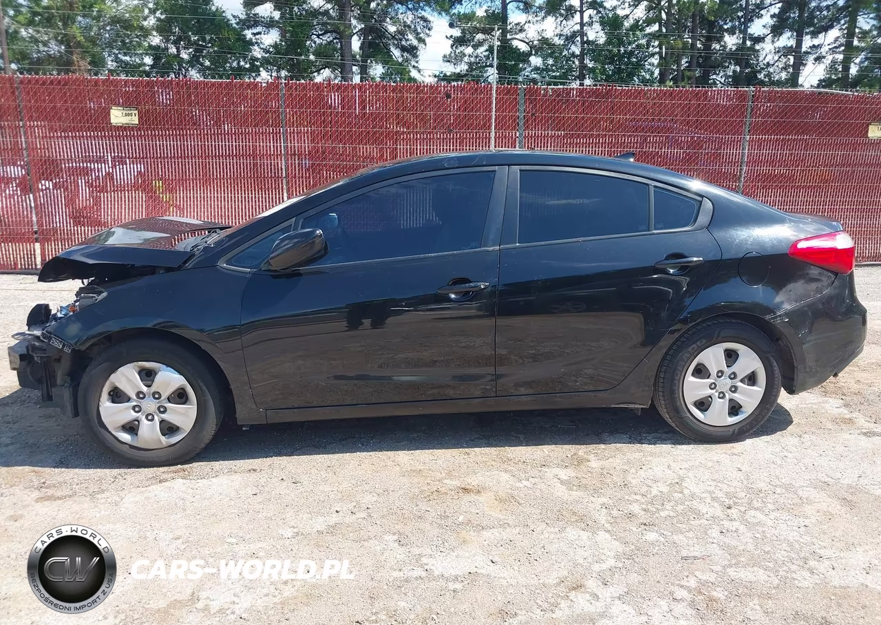 2015 Kia Forte Lx VIN:KNAFK4A65F5428900 - 17