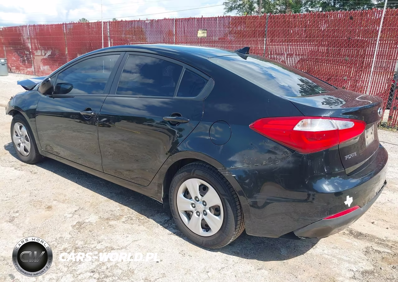 2015 Kia Forte Lx VIN:KNAFK4A65F5428900 - 3