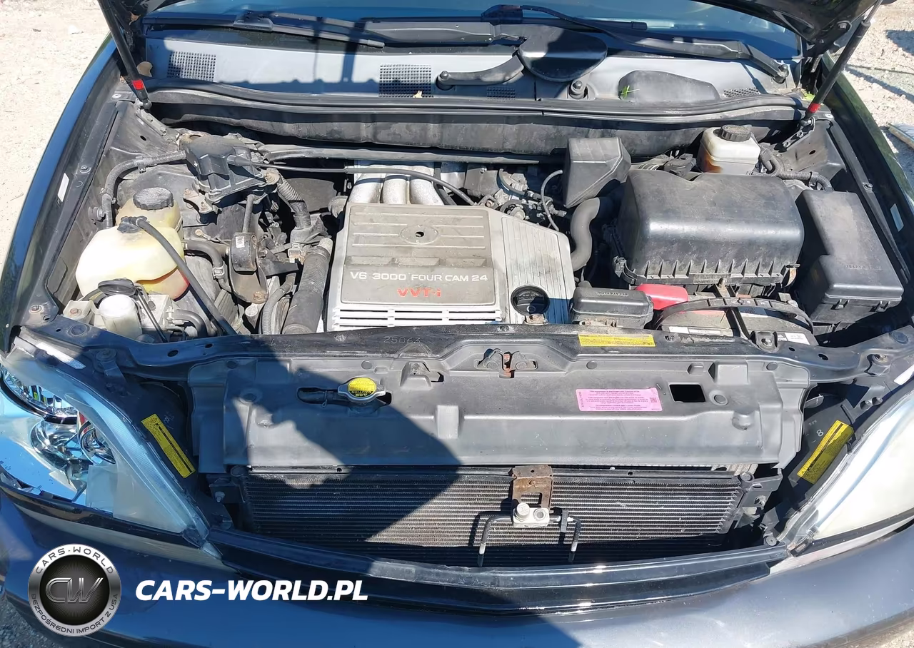 2002 Lexus Rx 300 VIN:JTJHF10UX20236083 - 10