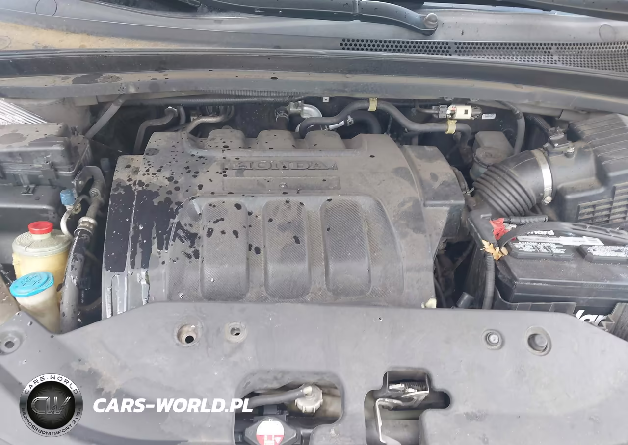 2010 Honda Odyssey Lx VIN:5FNRL3H24AB042552 - 10