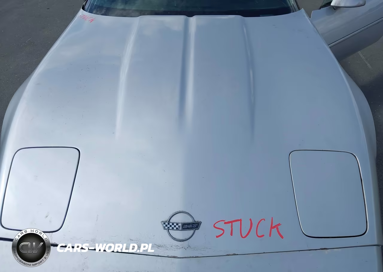 1996 Chevrolet Corvette VIN:1G1YY22P5T5112567 - 10