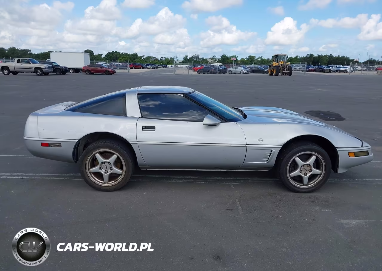 1996 Chevrolet Corvette VIN:1G1YY22P5T5112567 - 14