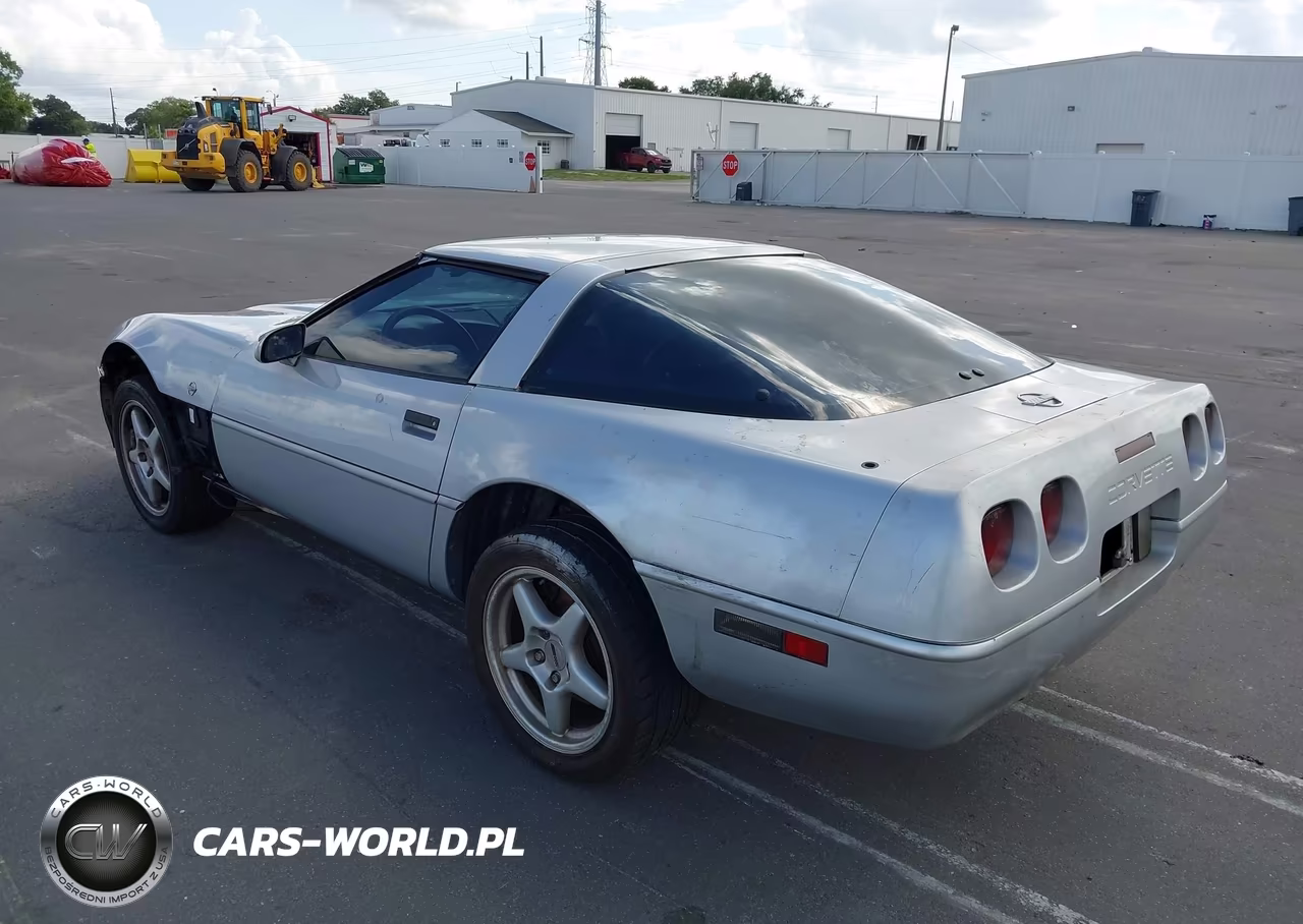 1996 Chevrolet Corvette VIN:1G1YY22P5T5112567 - 3