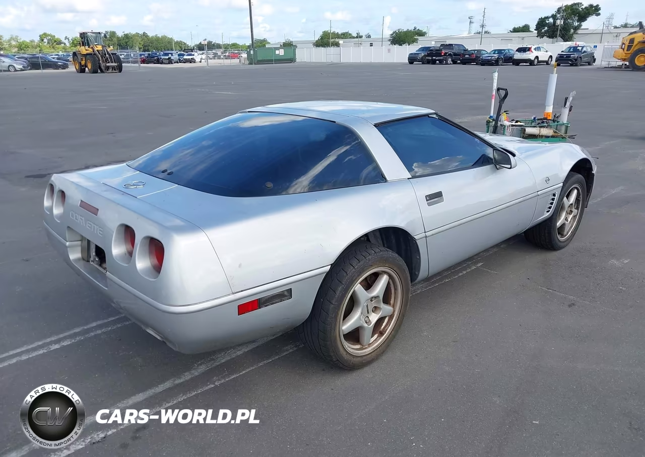 1996 Chevrolet Corvette VIN:1G1YY22P5T5112567 - 4