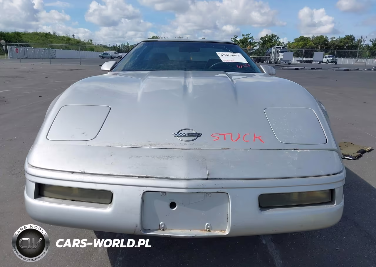 1996 Chevrolet Corvette VIN:1G1YY22P5T5112567 - 6
