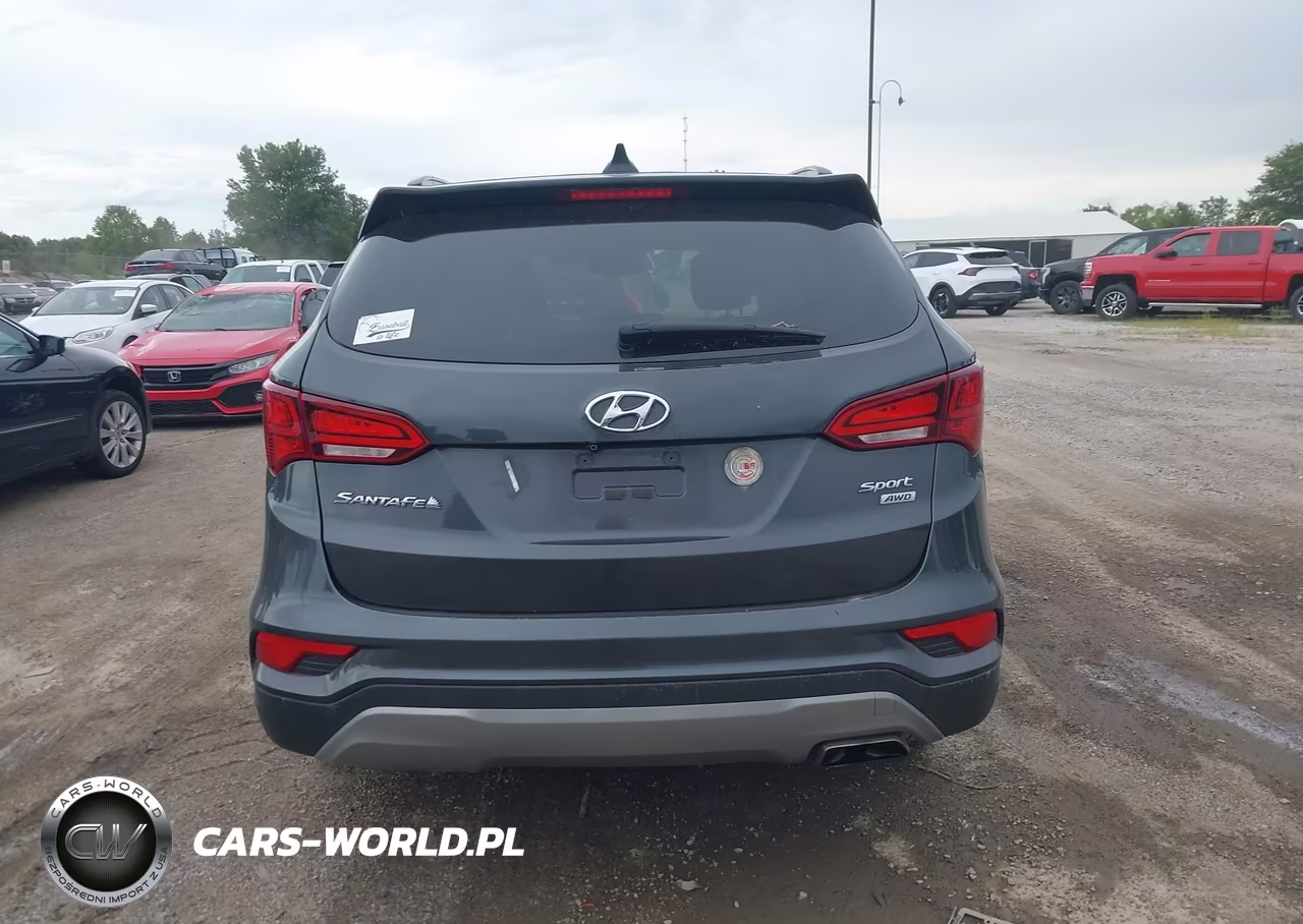 2017 Hyundai Santa Fe Sport 2.4L VIN:5XYZUDLB6HG384694 - 16