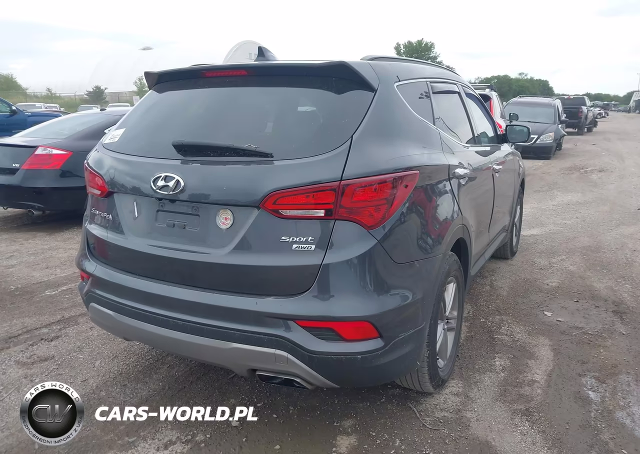 2017 Hyundai Santa Fe Sport 2.4L VIN:5XYZUDLB6HG384694 - 4