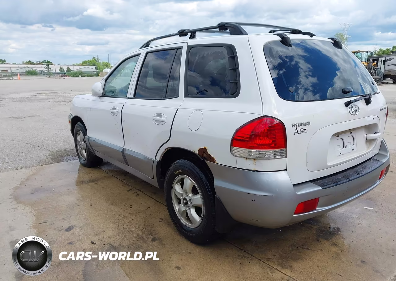 2005 Hyundai Santa Fe Gls VIN:KM8SC13D25U884068 - 3