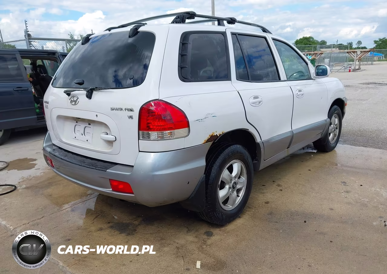 2005 Hyundai Santa Fe Gls VIN:KM8SC13D25U884068 - 4