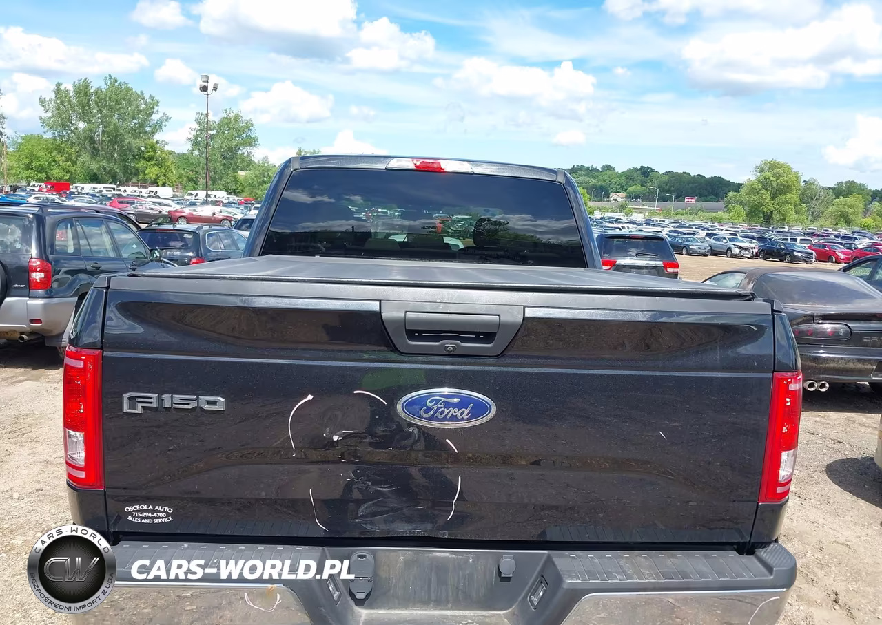 2015 Ford F-150 Xlt VIN:1FTEW1EP5FKE22665 - 16