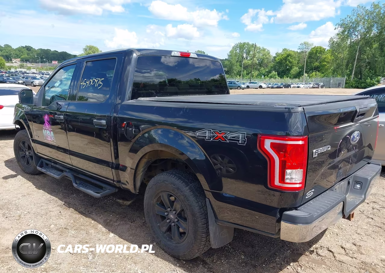 2015 Ford F-150 Xlt VIN:1FTEW1EP5FKE22665 - 3