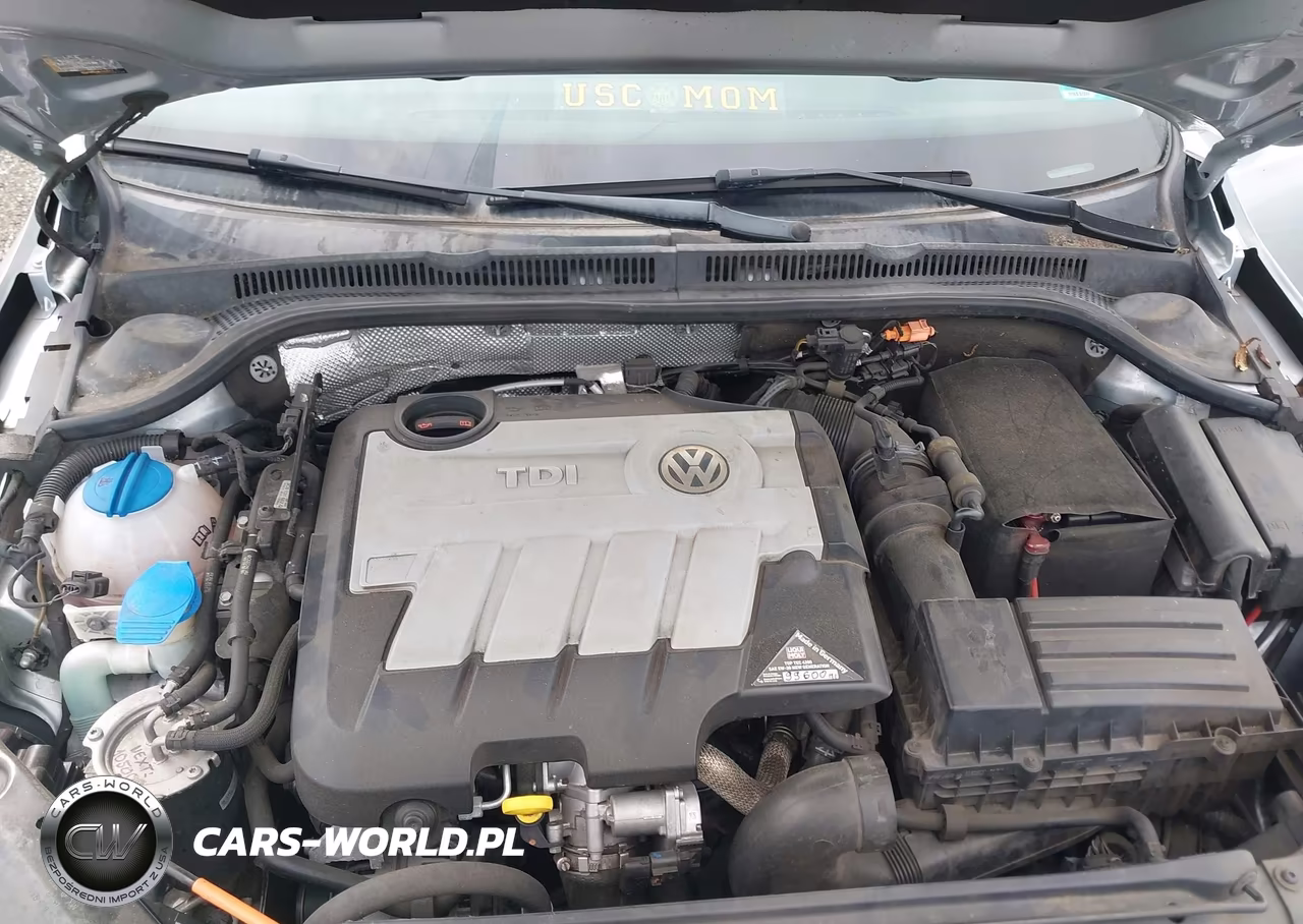 2014 Volkswagen Jetta 2.0L Tdi VIN:3VWLL7AJ1EM372646 - 10