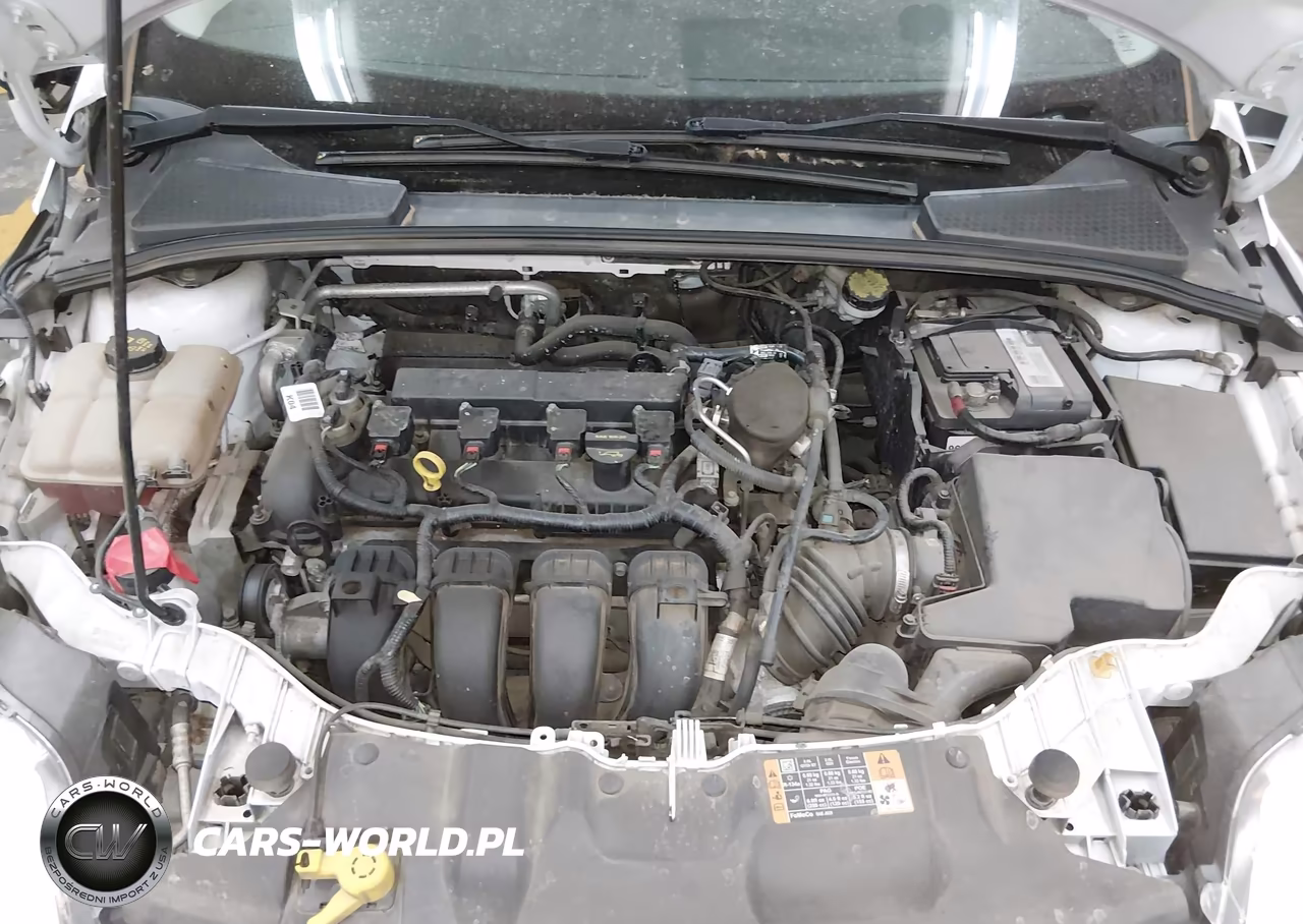 2014 Ford Focus Se VIN:1FADP3F25EL343678 - 10