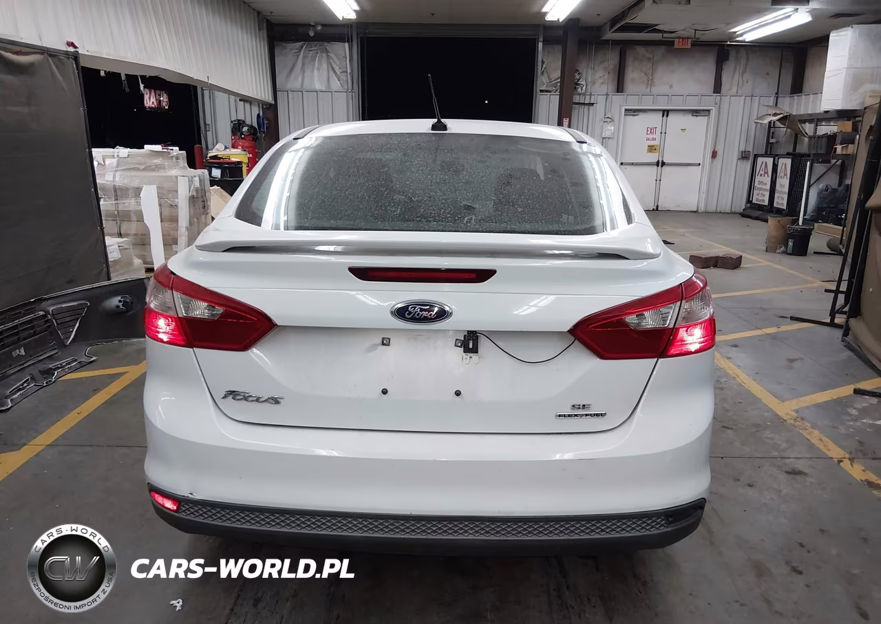 2014 Ford Focus Se VIN:1FADP3F25EL343678 - 17