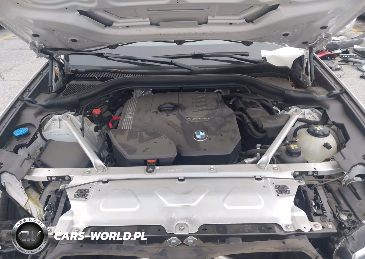 2021 BMW X3 Sdrive30I VIN:5UXTY3C00M9G04041 - 10