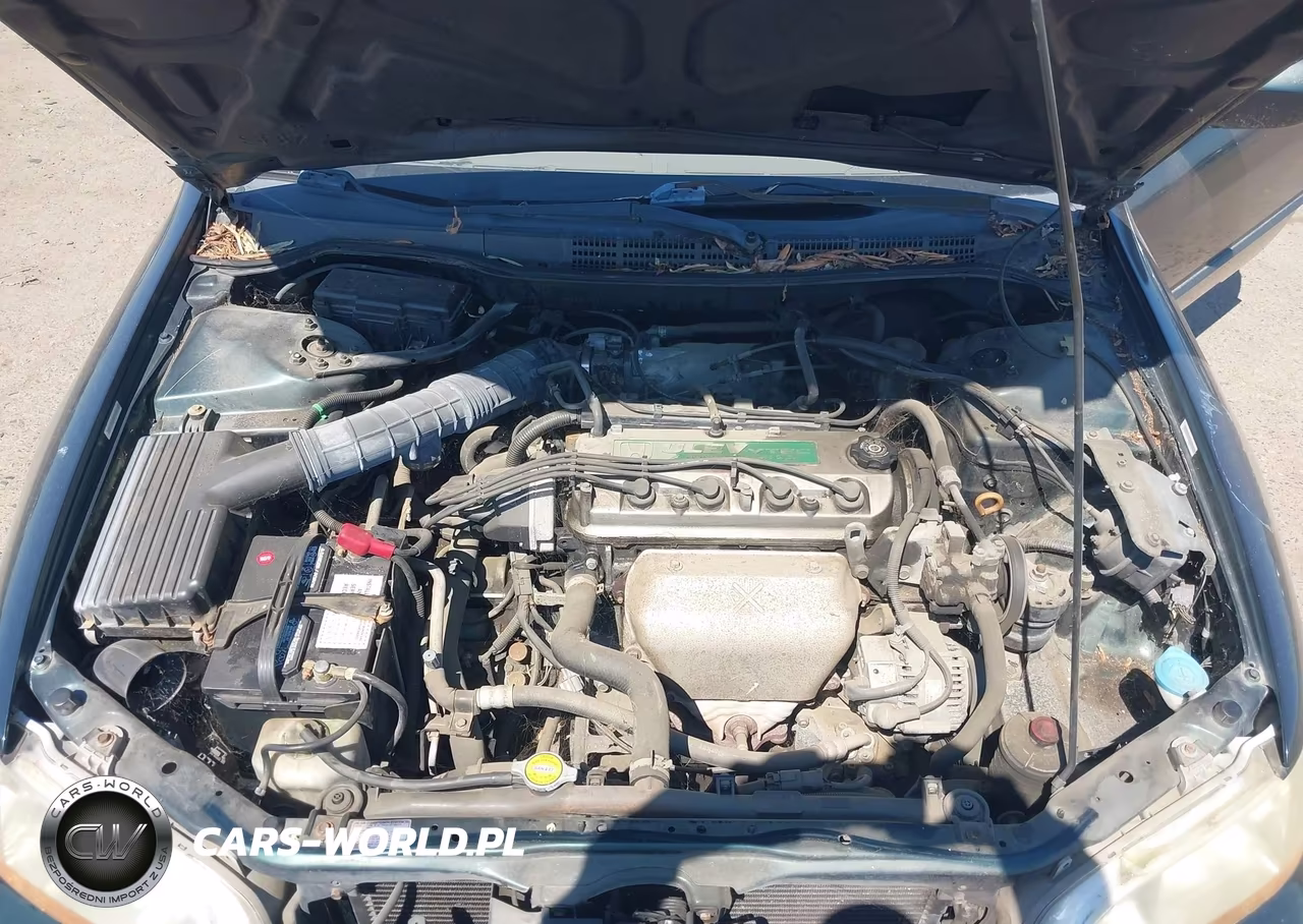 1999 Honda Accord Lx VIN:JHMCG6657XC023572 - 10