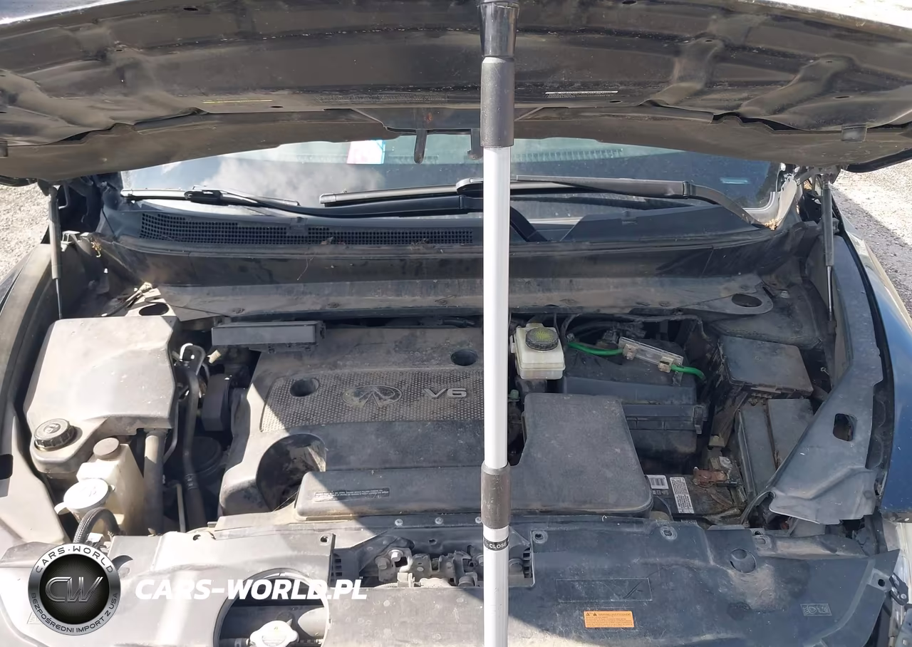 2014 Infiniti Qx60 VIN:5N1AL0MM2EC505015 - 10