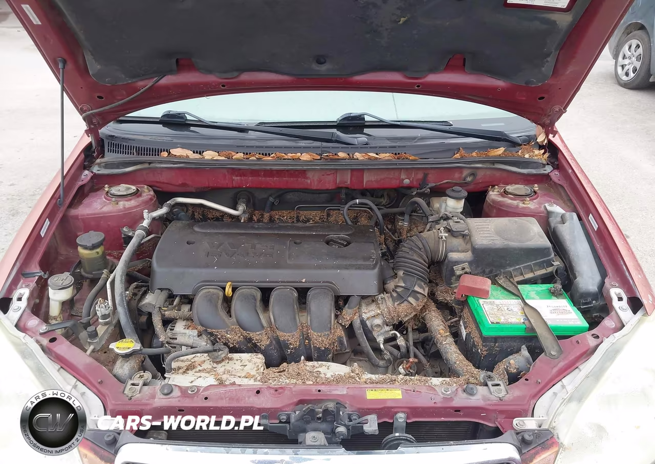 2005 Toyota Corolla Le VIN:1NXBR32EX5Z391128 - 10