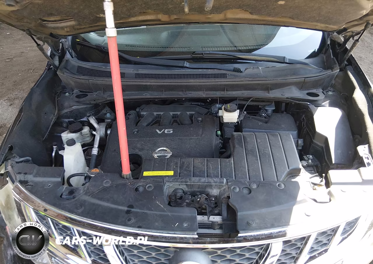 2014 Nissan Murano Crosscabriolet VIN:JN8AZ1FY9EW302487 - 10