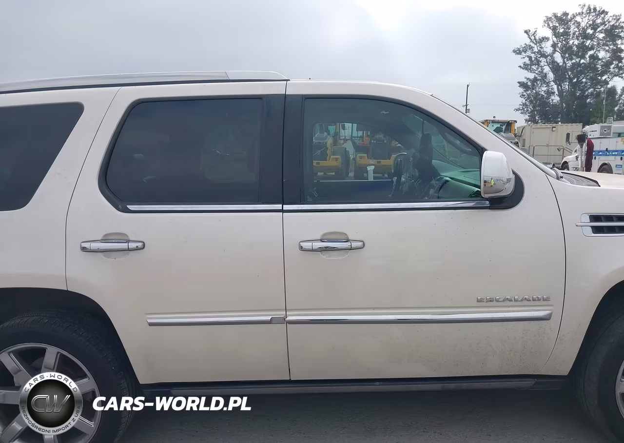 2011 Cadillac Escalade Premium VIN:1GYS4CEF2BR388322 - 13