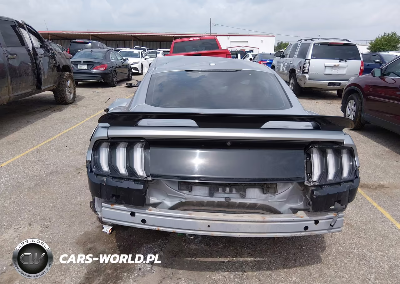 2020 Ford Mustang Ecoboost Premium Fastback VIN:1FA6P8TH0L5120822 - 16