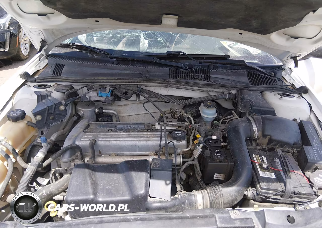 2004 Chevrolet Cavalier VIN:1G1JC52F847123559 - 10