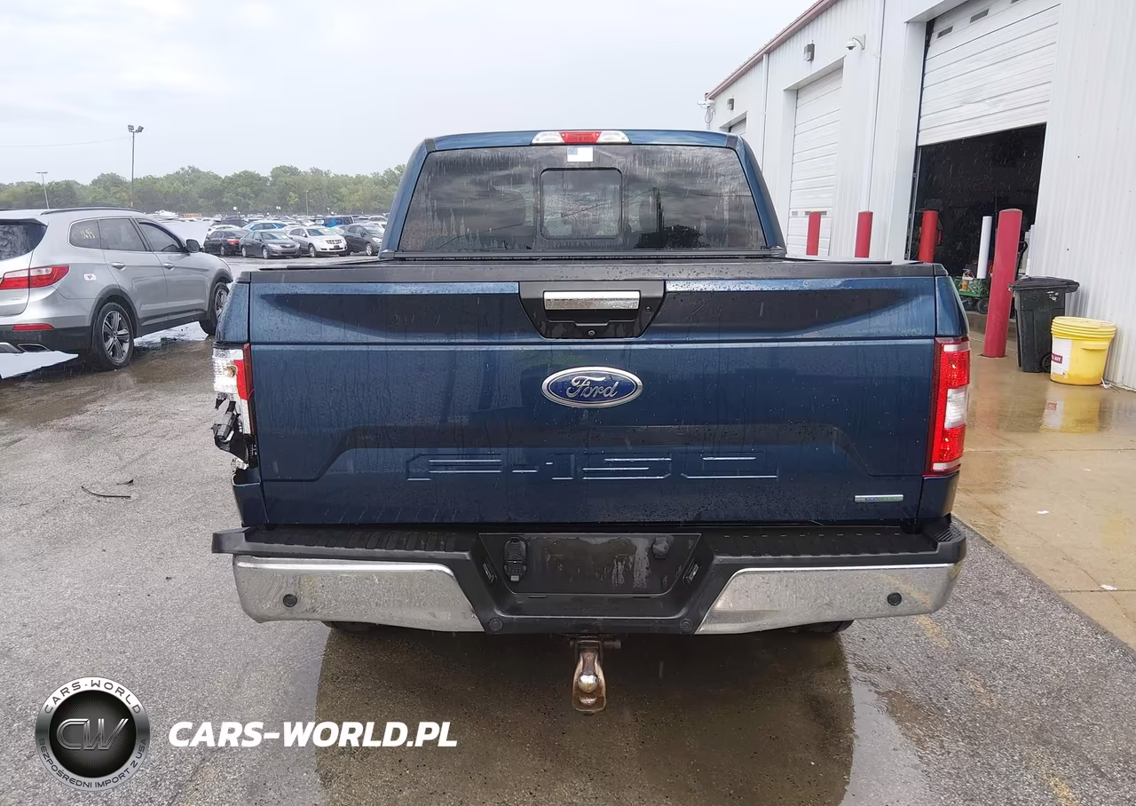 2019 Ford F-150 King Ranch-Lariat-Platinum-Xl-Xlt VIN:1FTEW1E42KFA42966 - 17