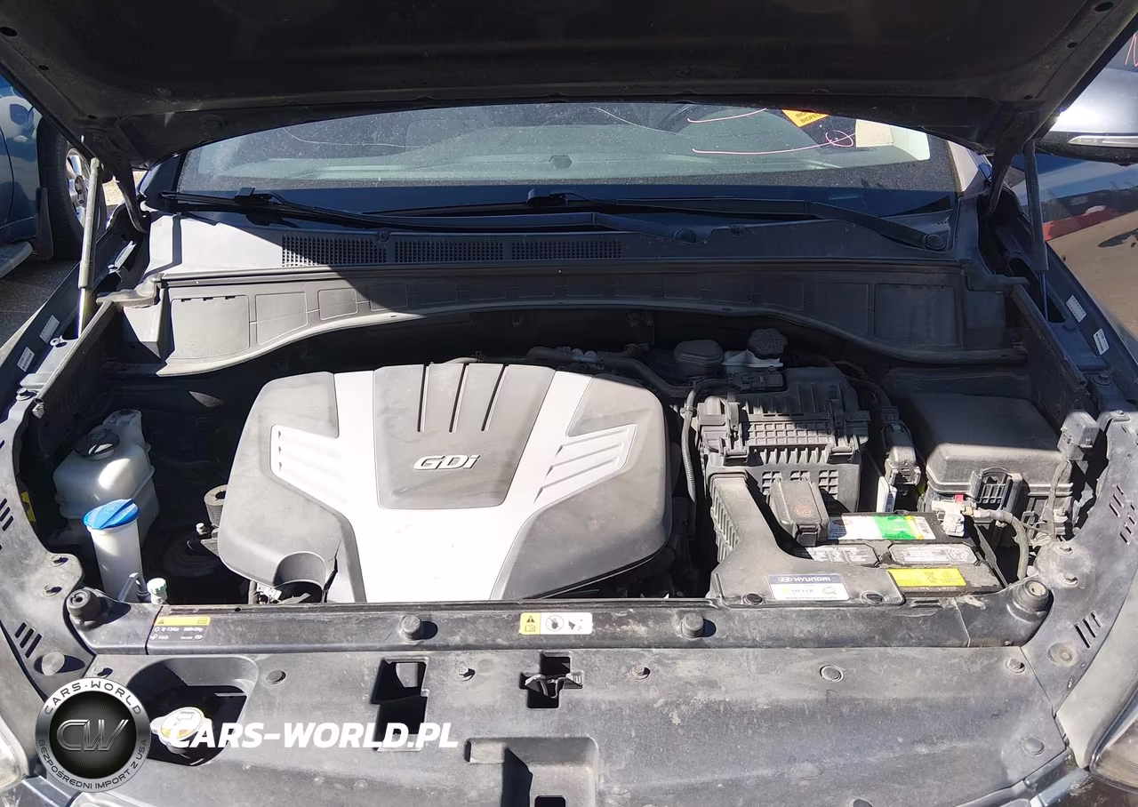 2018 Hyundai Santa Fe Limited Ultimate VIN:KM8SRDHF8JU263339 - 10