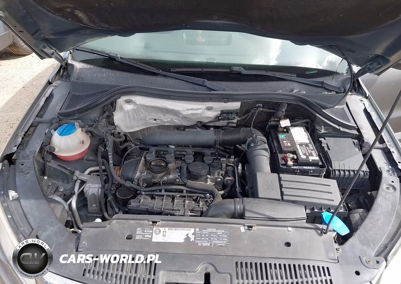 2010 Volkswagen Tiguan S VIN:WVGAV7AX9AW512019 - 10