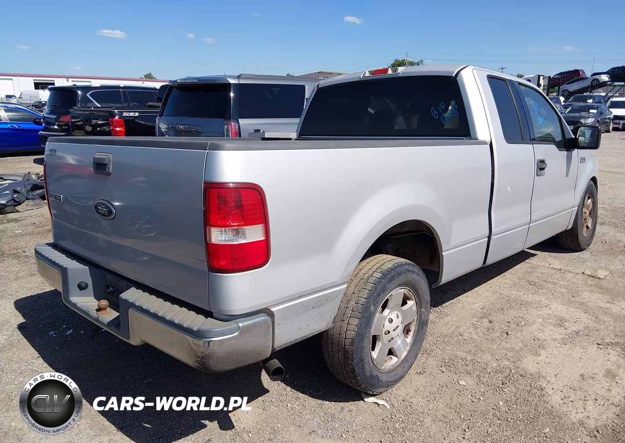 2004 Ford F-150 Stx-Xl-Xlt VIN:1FTRX12W64NA10339 - 4
