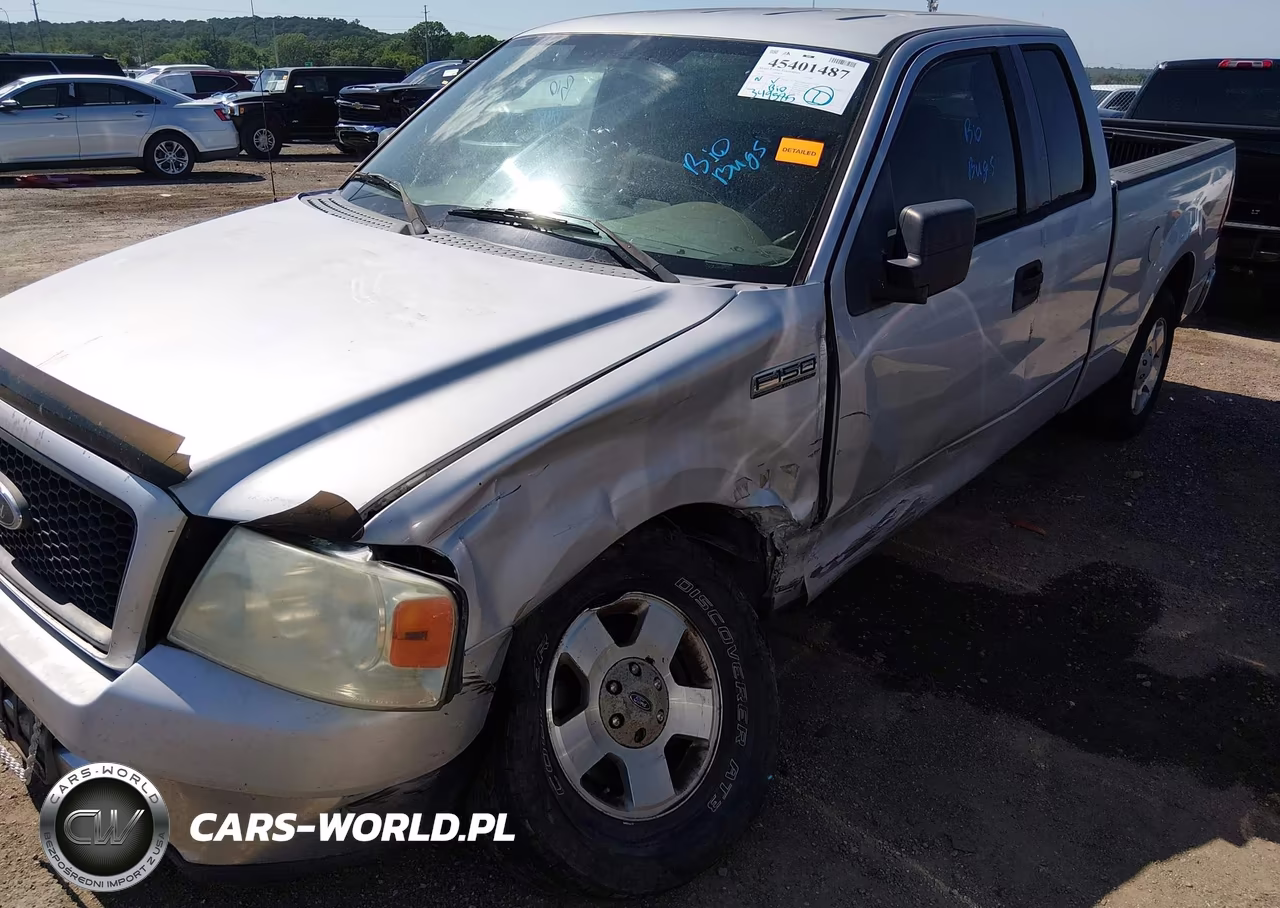 2004 Ford F-150 Stx-Xl-Xlt VIN:1FTRX12W64NA10339 - 6