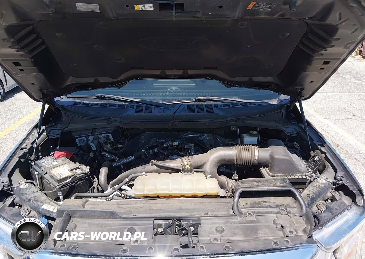 2021 Ford F-150 Lariat-Xl-Xlt VIN:1FTEW1CP7MKE70619 - 10