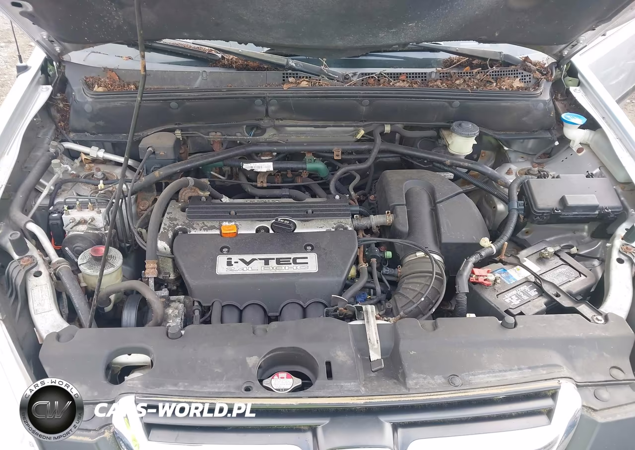 2003 Honda Cr-V Ex VIN:SHSRD78813U135596 - 10