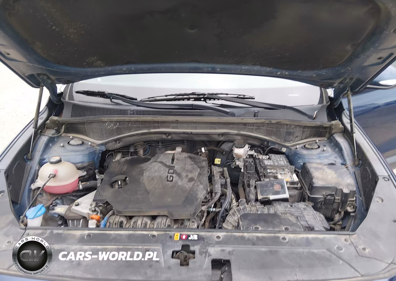 2023 Hyundai Santa Fe Sel VIN:5NMS24AJ3PH492664 - 10