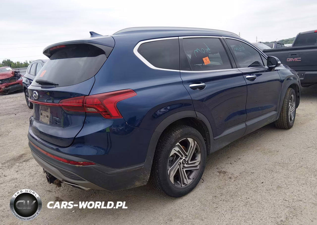 2023 Hyundai Santa Fe Sel VIN:5NMS24AJ3PH492664 - 4