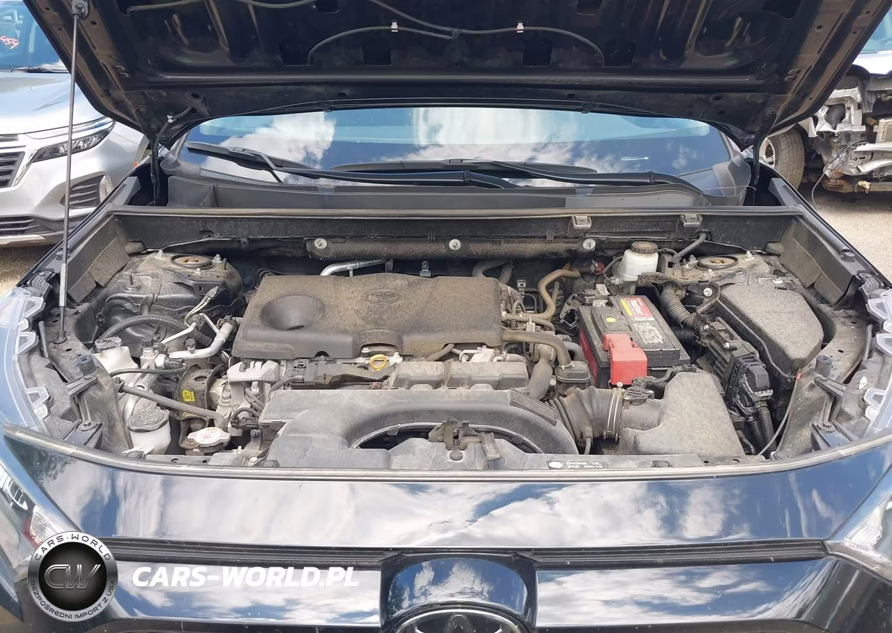 2019 Toyota Rav4 Le VIN:2T3G1RFV4KW011374 - 10