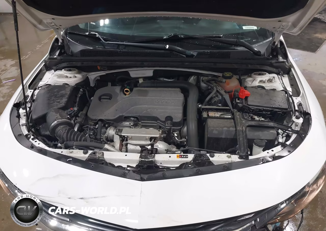 2020 Chevrolet Malibu Fwd Lt VIN:1G1ZD5ST4LF105862 - 10