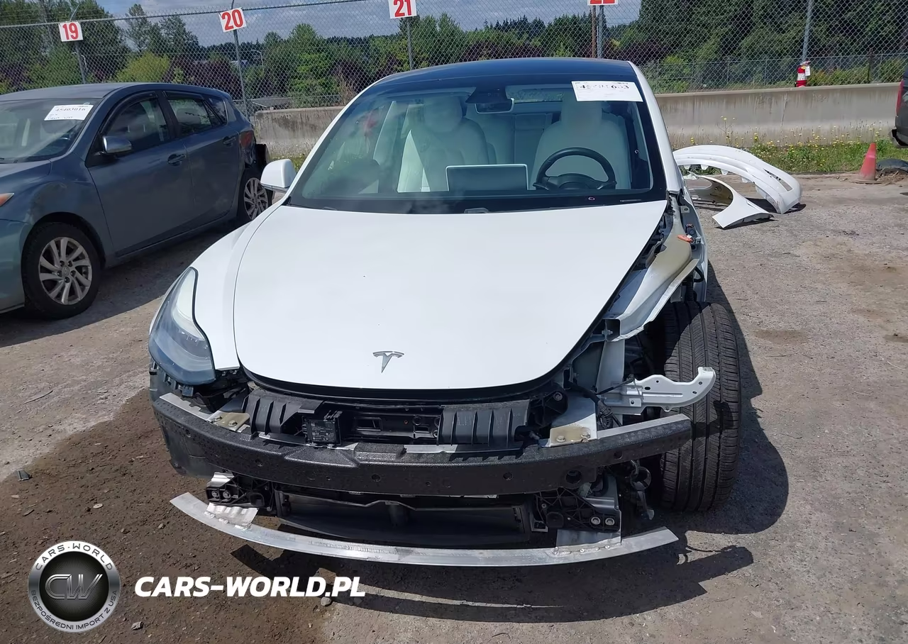 2020 Tesla Model 3 Standard Range Plus Rear-Wheel Drive-Standard Range Rear-Wheel Drive VIN:5YJ3E1EA3LF741125 - 13
