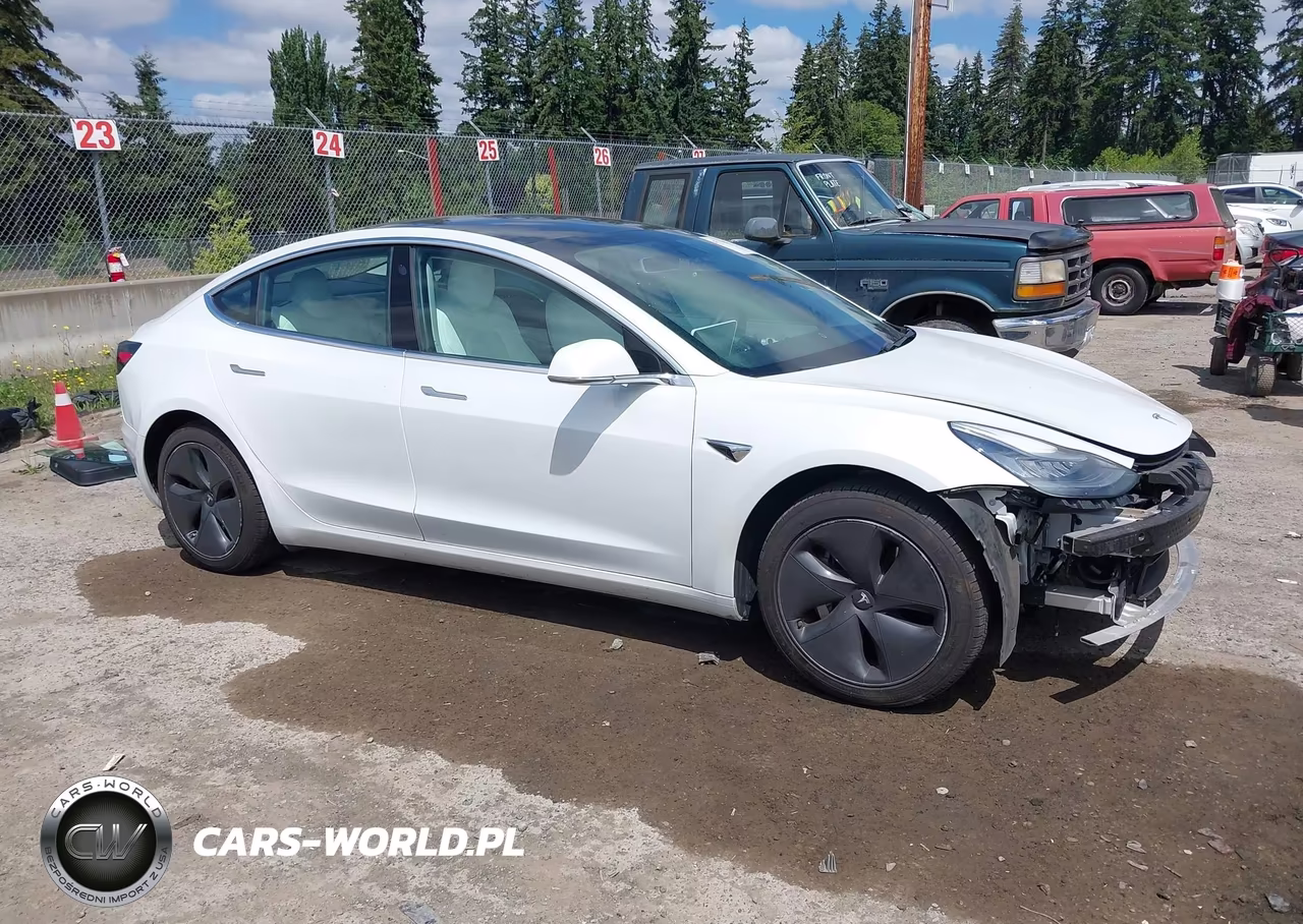 2020 Tesla Model 3 Standard Range Plus Rear-Wheel Drive-Standard Range Rear-Wheel Drive VIN:5YJ3E1EA3LF741125 - 14