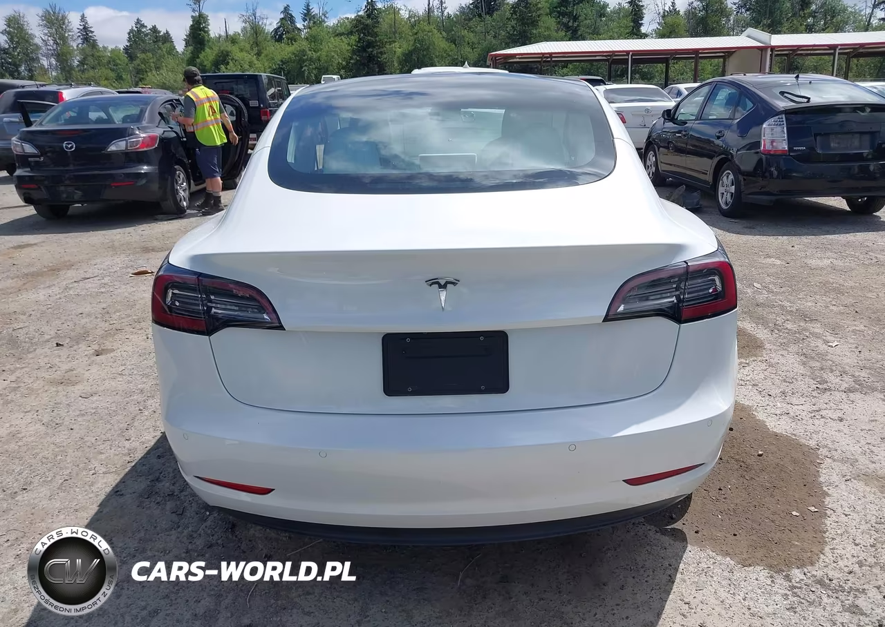2020 Tesla Model 3 Standard Range Plus Rear-Wheel Drive-Standard Range Rear-Wheel Drive VIN:5YJ3E1EA3LF741125 - 17